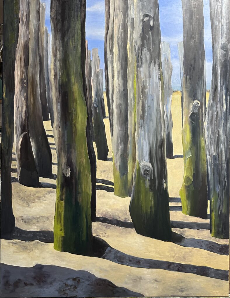 Brises lames de Dinard